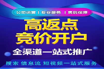 百度竞价排名案例解析：如何快速提升网站流量